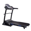 Ring-Traka-za-trcanje-sa-2-motora-2HP-(110kg)-RX-155