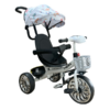 Thema-Deciji-tricikl---Vise-dezena-TS-606